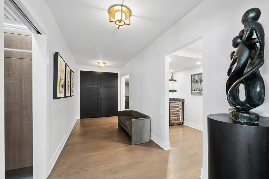 161 E Chicago Avenue #44A, Chicago, IL 60611 - #3