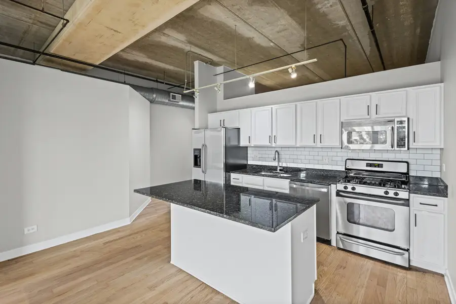 833 W 15th Place #303, Chicago, IL 60608 - #3