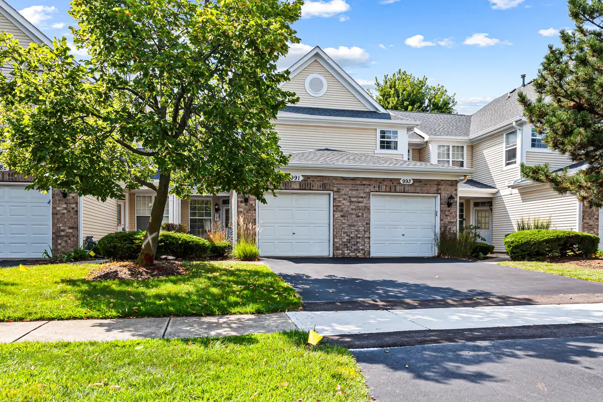 991 Sheridan Circle, Naperville, IL 60563 - #1