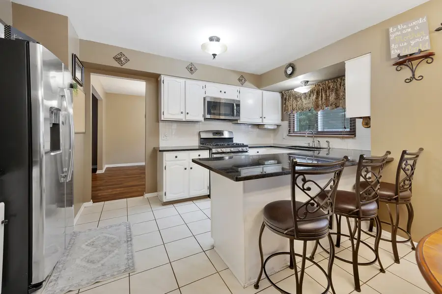 717 S Point Drive, Schaumburg, IL 60193 - #2