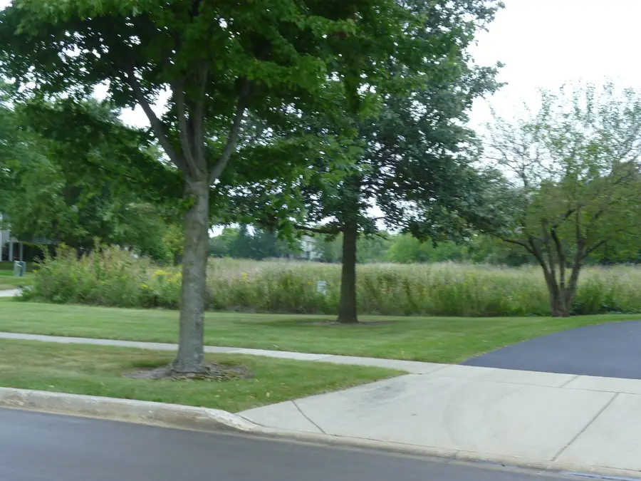 2632 Loren Lane, Algonquin, IL 60102 - #3