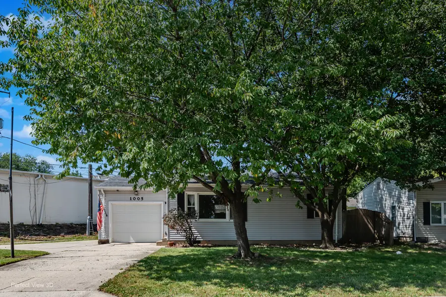 1005 Frederick Street, Joliet, IL 60435 - #2