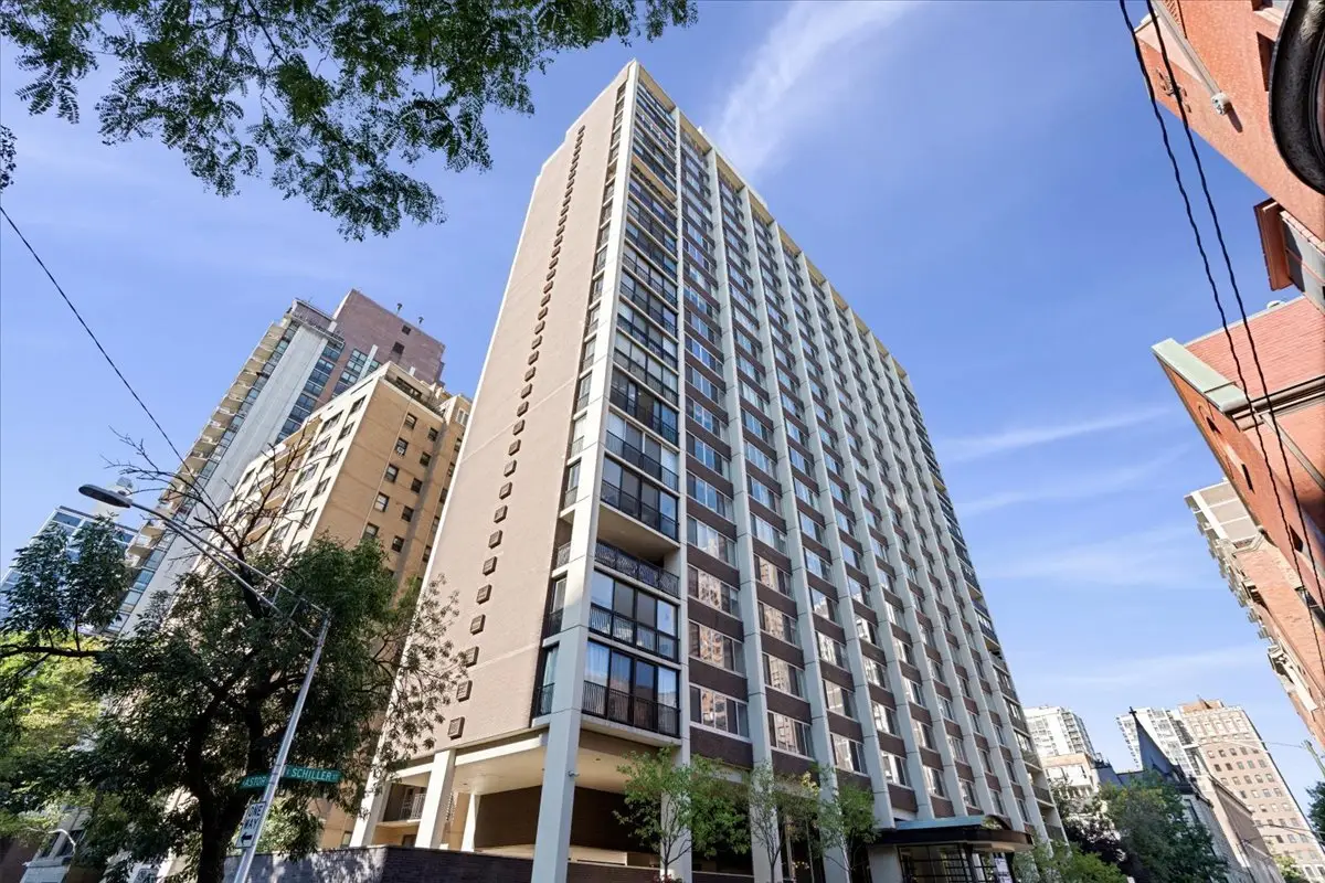 1 E Schiller Street #16C, Chicago, IL 60610 - #1
