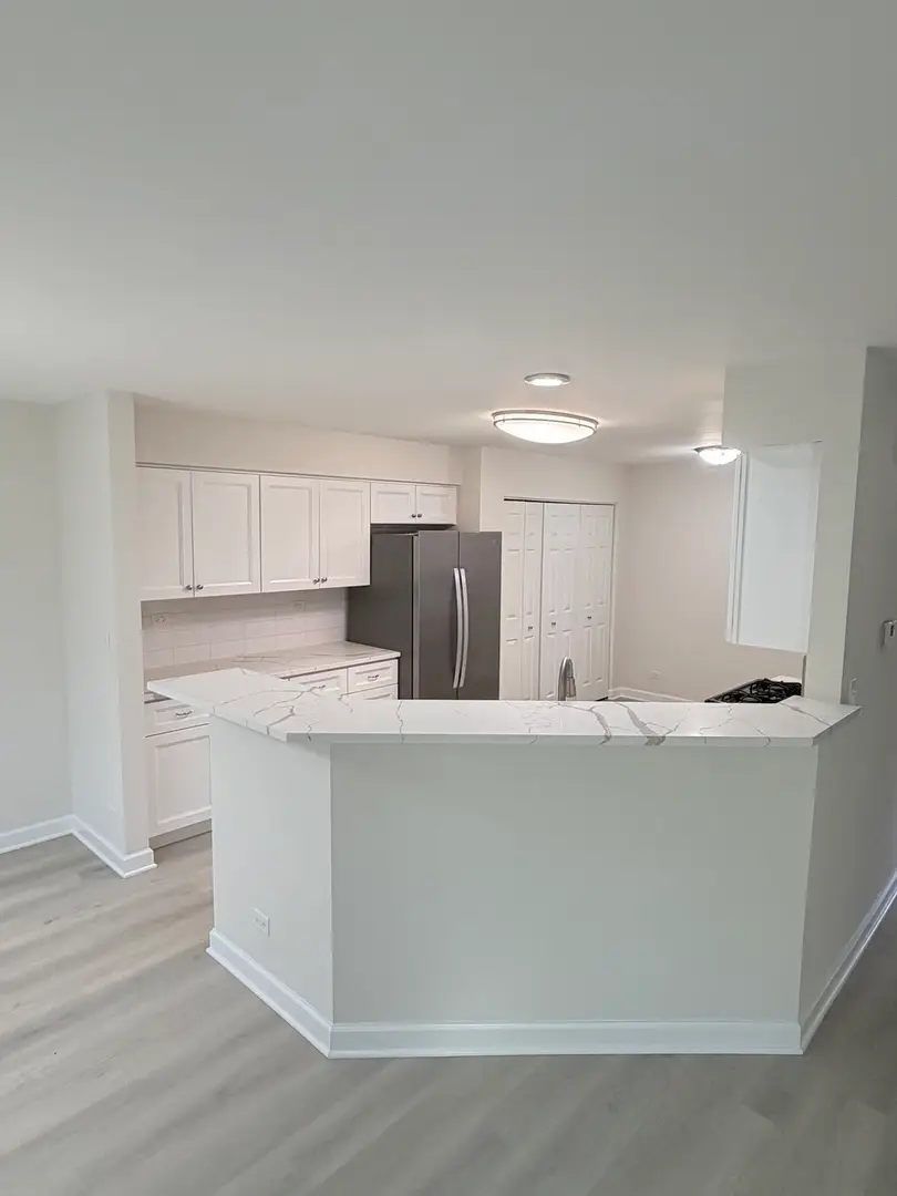 756 Old Checker Road, Buffalo Grove, IL 60089 - #3