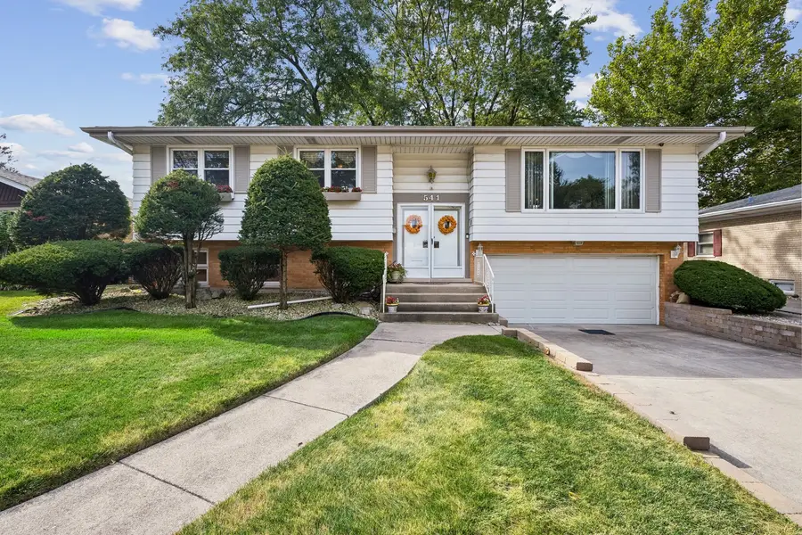 541 E 166th Place, South Holland, IL 60473 - #2