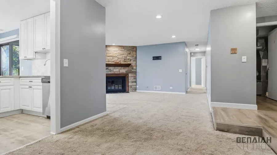 5S541 Paxton Drive #G, Naperville, IL 60563 - #3