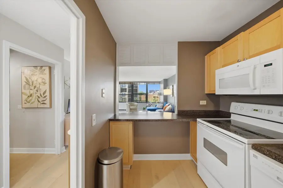 1560 N Sandburg Terrace #507J, Chicago, IL 60610 - #2