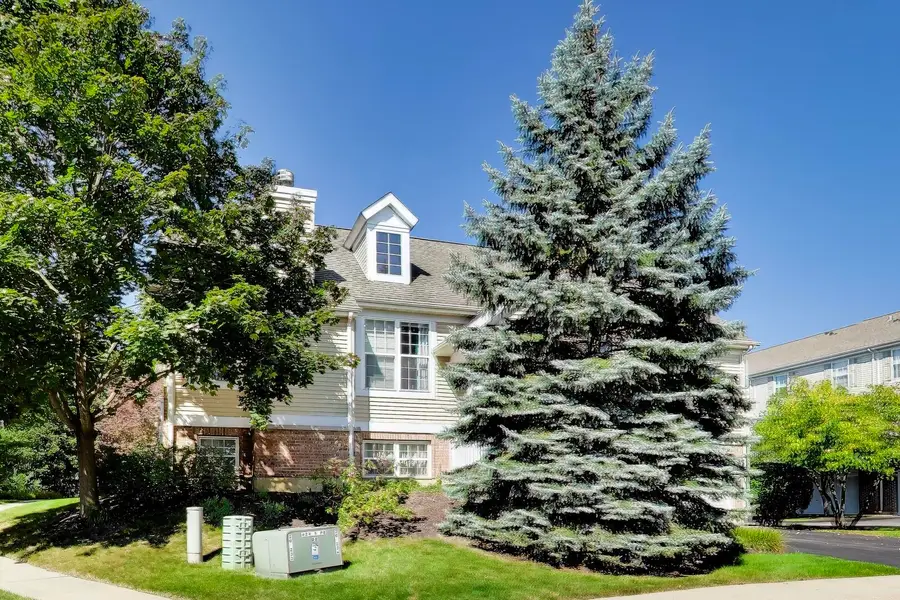 612 N Hidden Prairie Court, Palatine, IL 60067 - #2