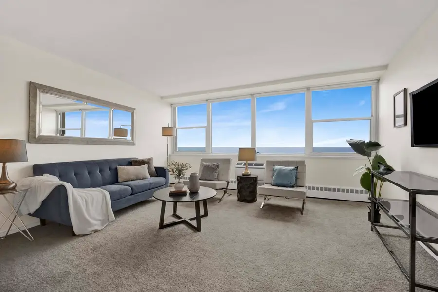 1150 N Lake Shore Drive #13C, Chicago, IL 60611 - #3