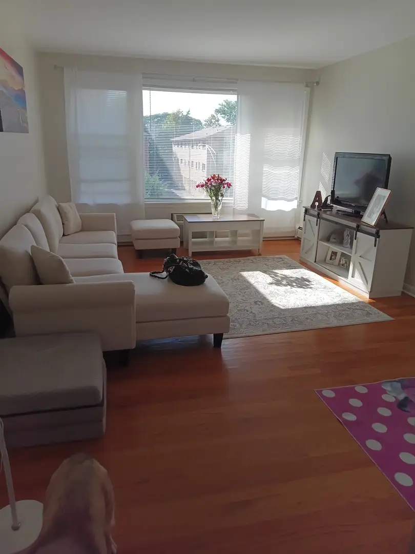 5947 N Odell Avenue #6, Chicago, IL 60631 - #2