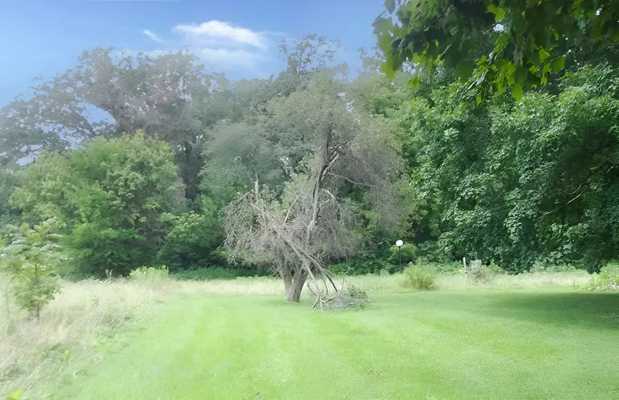 6272 Old Dam Road, Georgetown, IL 61846 - #3