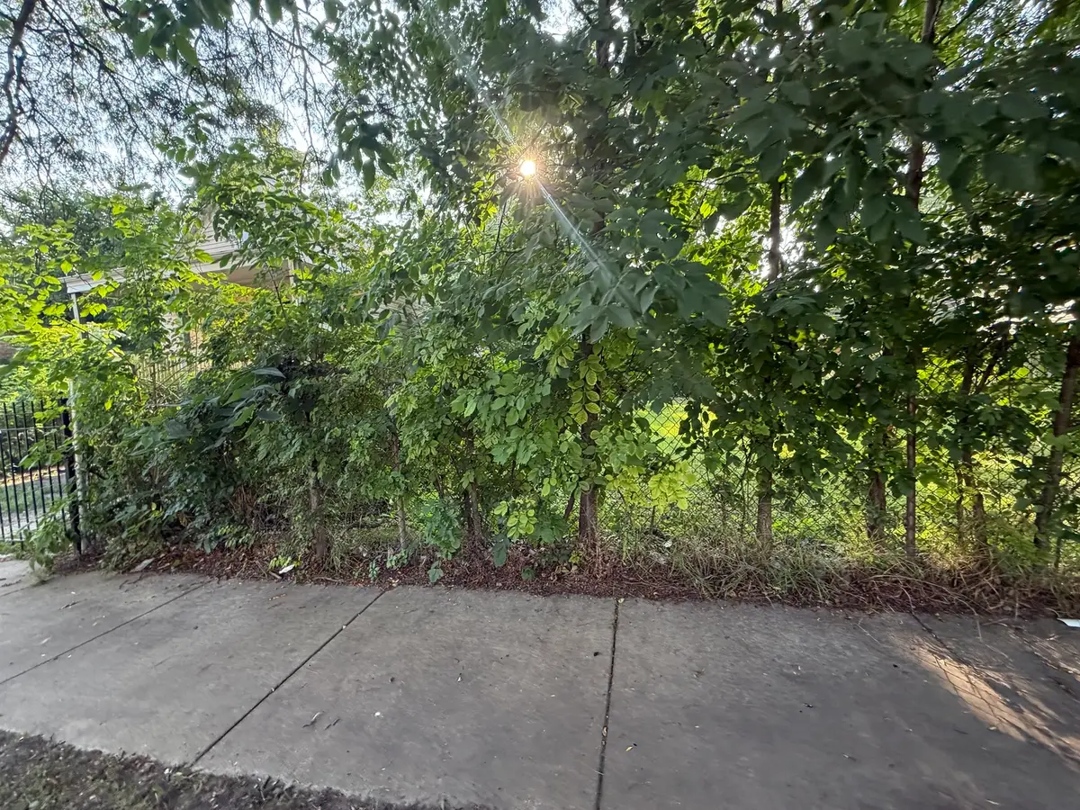 6924 S Elizabeth Street, Chicago, IL 60636 - #1