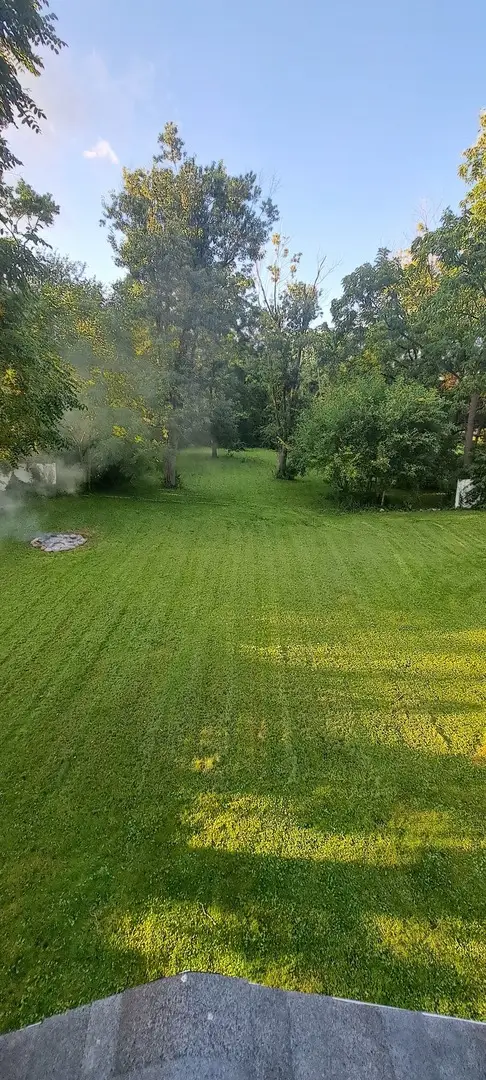 177 E Francis Road, New Lenox, IL 60451 - #2