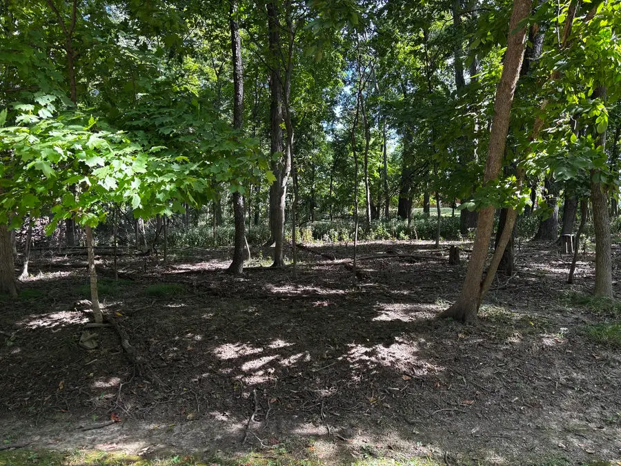 1102 Jay Court, Varna, IL 61375 - #3