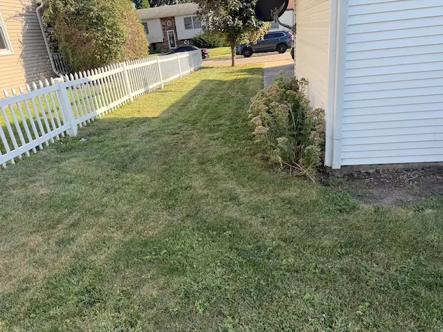 2358 W Lombard Street, Davenport, IA 52804 - #3