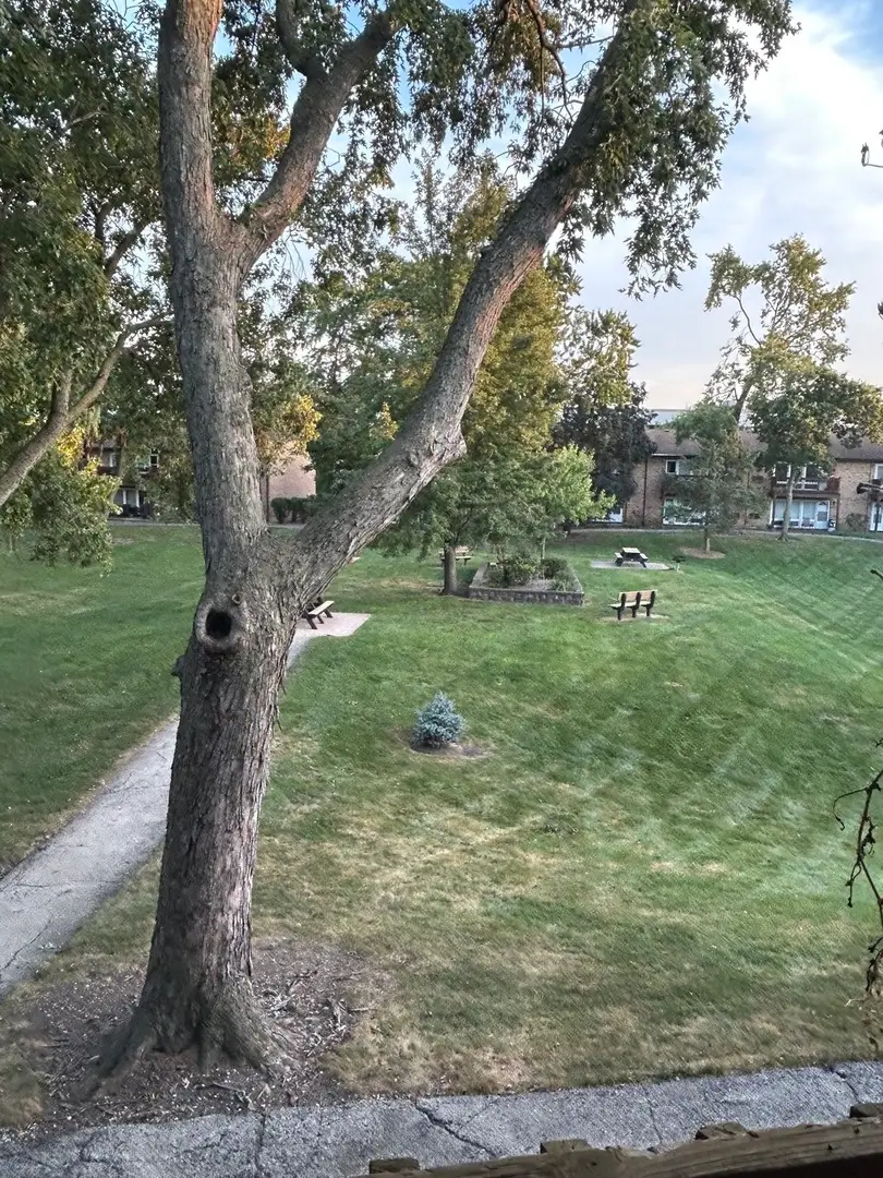 2209 Arbor Circle #25, Downers Grove, IL 60515 - #3