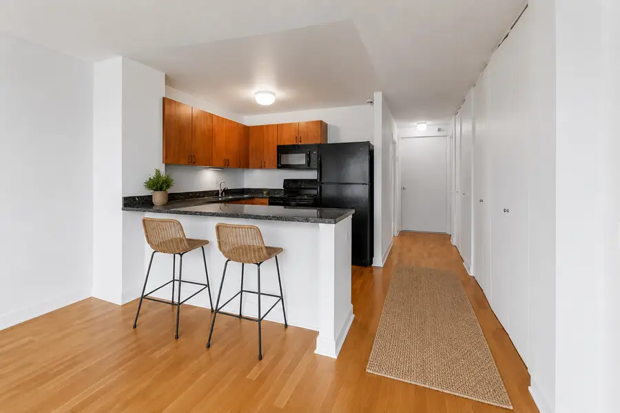 474 N Lake Shore Drive #2007, Chicago, IL 60611 - #3