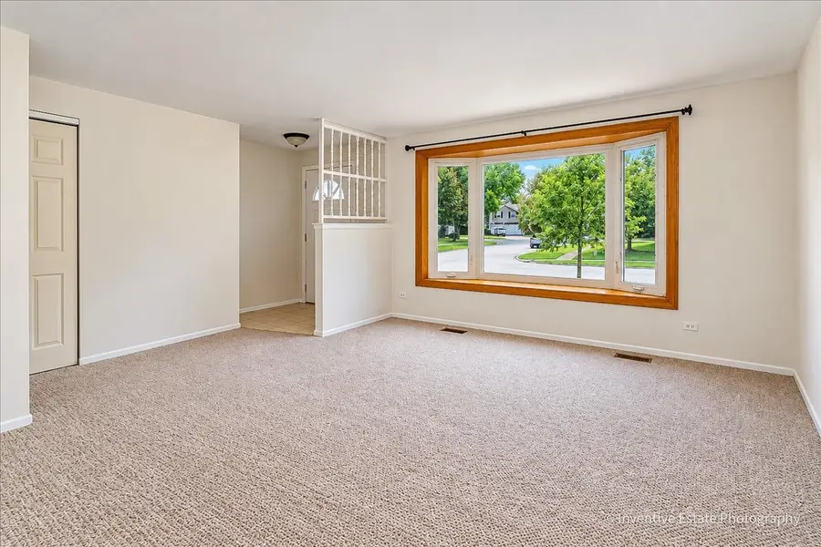 319 Kemah Lane, Schaumburg, IL 60193 - #2