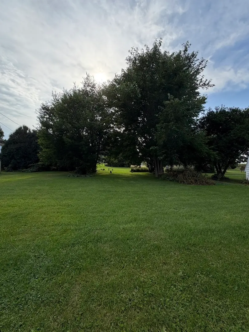 404 Maple Avenue, Forreston, IL 61030 - #2