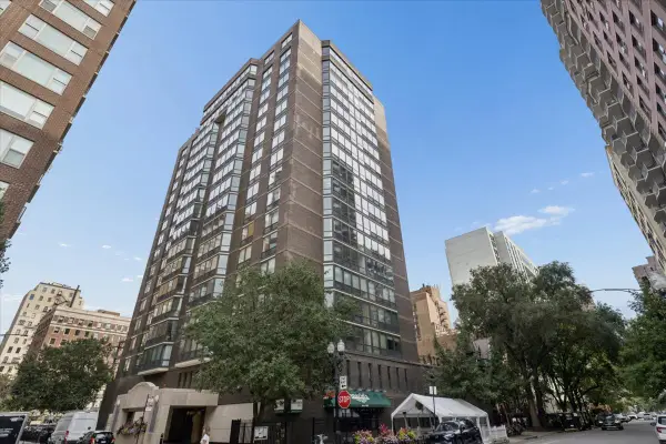 21 W Goethe Street #8H, Chicago, IL 60610