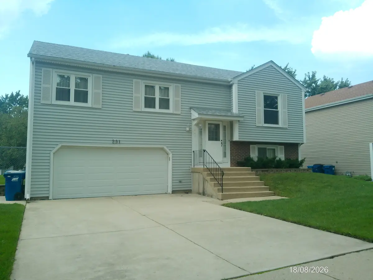 291 Hill Avenue, Bartlett, IL 60103 - #1
