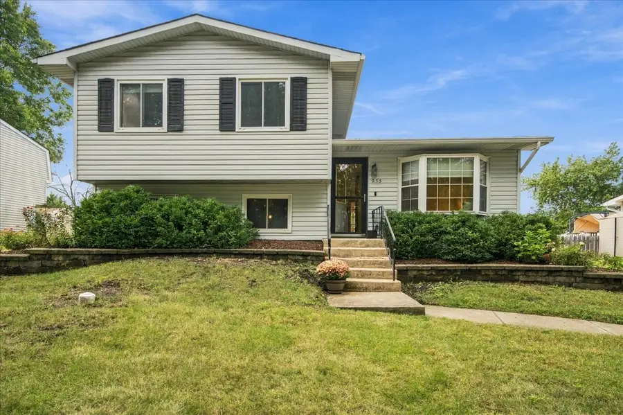 273 Lyons Drive, Bolingbrook, IL 60440 - #2