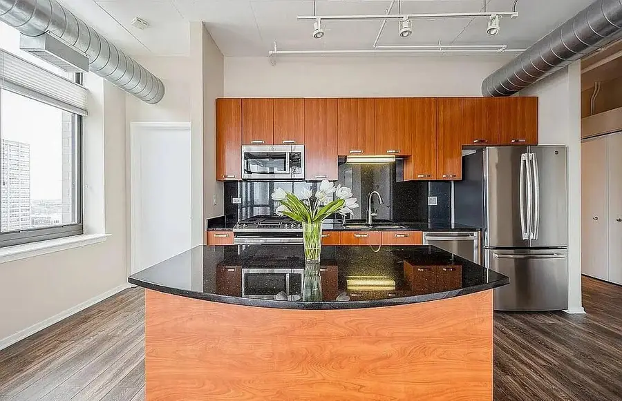 212 E Cullerton Street #1204, Chicago, IL 60616 - #3