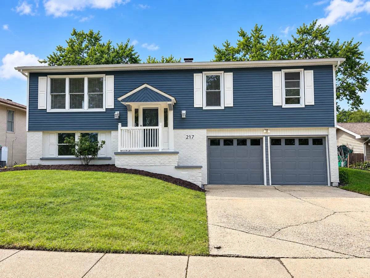 217 N Schmidt Road, Bolingbrook, IL 60440 - #1