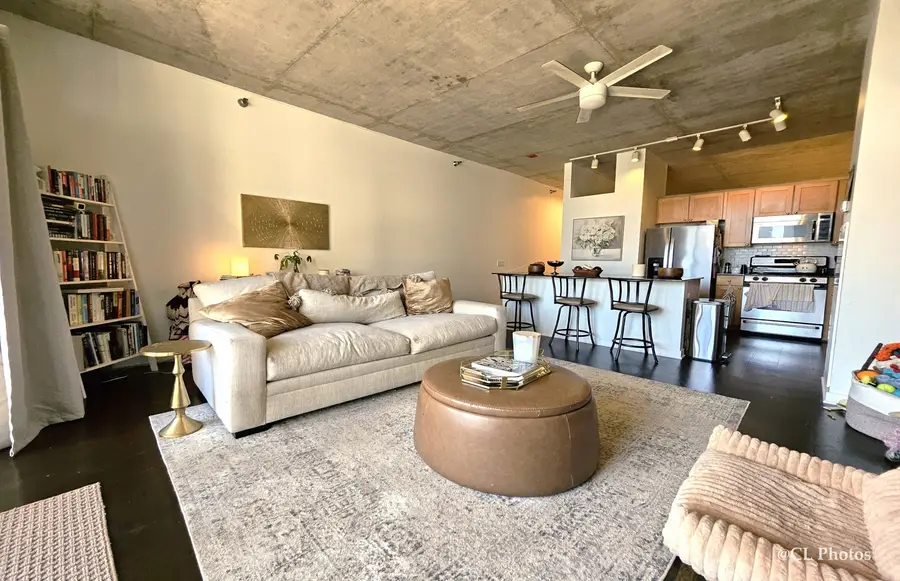 720 N Larrabee Street #1104, Chicago, IL 60654 - #3