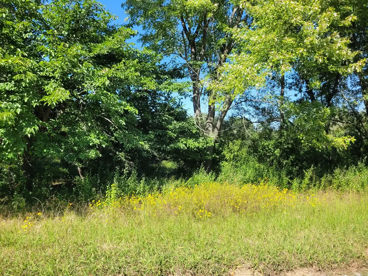 0000 E Bunny Farm Road, Mount Vernon, IL 62864 - #1