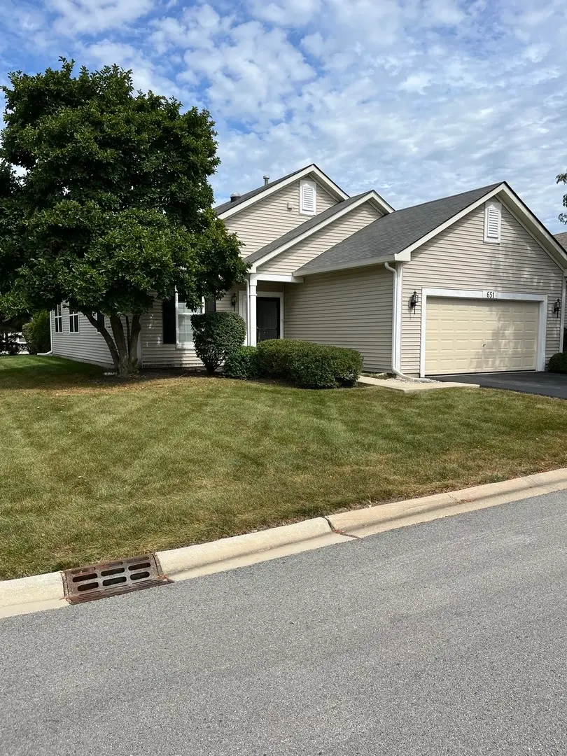 651 S Mecosta Lane, Romeoville, IL 60446 - #1