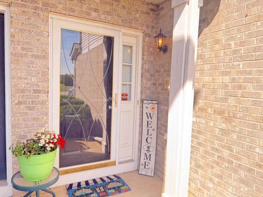 21122 Gray Hawk Drive, Matteson, IL 60443 - #2