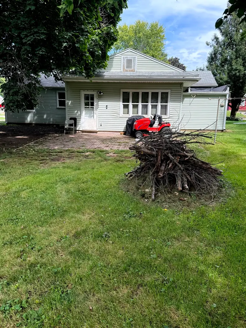 312 Depot Street, Walnut, IL 61376 - #3