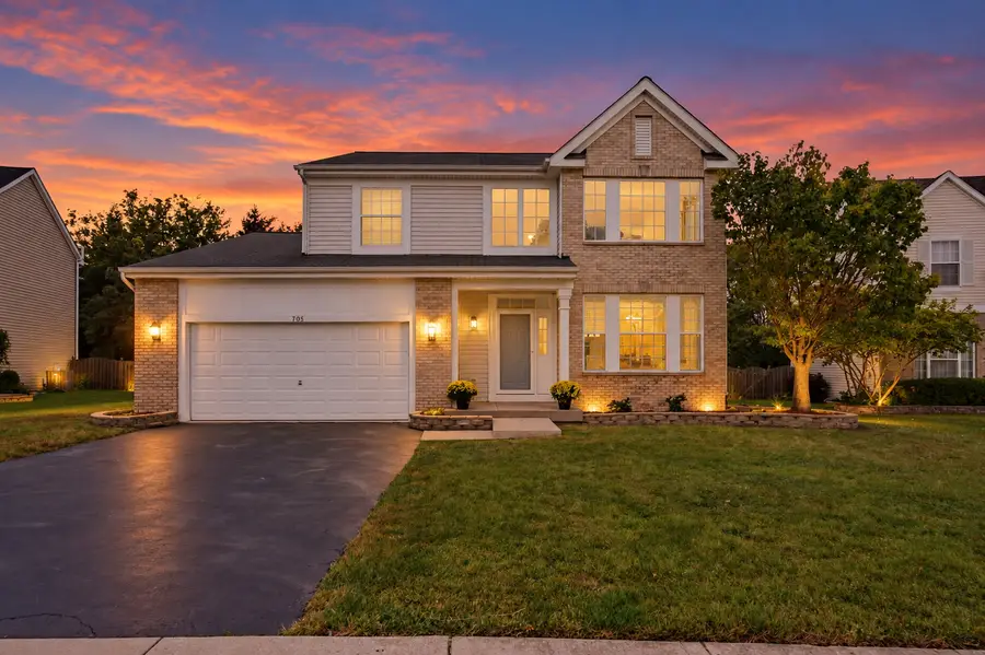 705 Silver Leaf Drive, Joliet, IL 60431 - #2