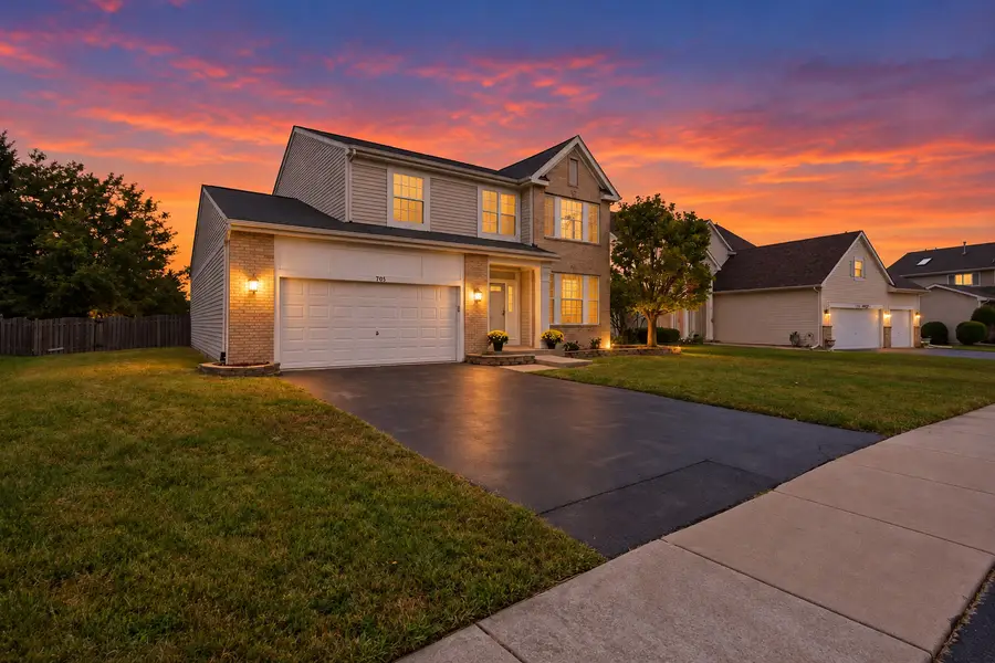 705 Silver Leaf Drive, Joliet, IL 60431 - #3