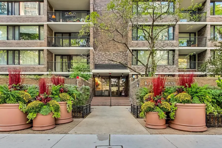 1555 N Sandburg Terrace #209K, Chicago, IL 60610 - #2