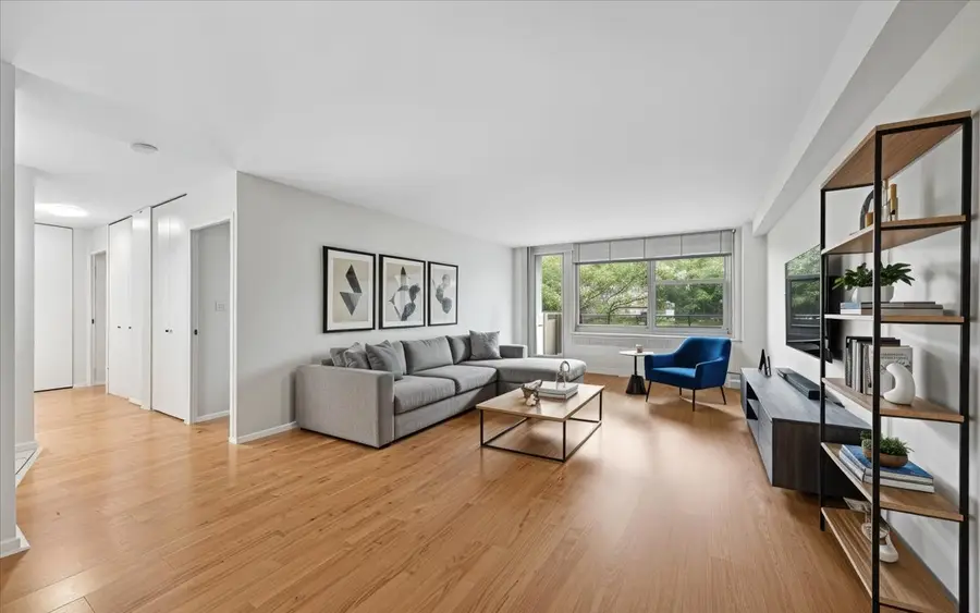 555 W Cornelia Avenue #501, Chicago, IL 60657 - #3