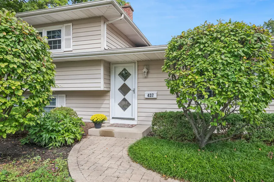 437 Tupelo Avenue, Naperville, IL 60540 - #2