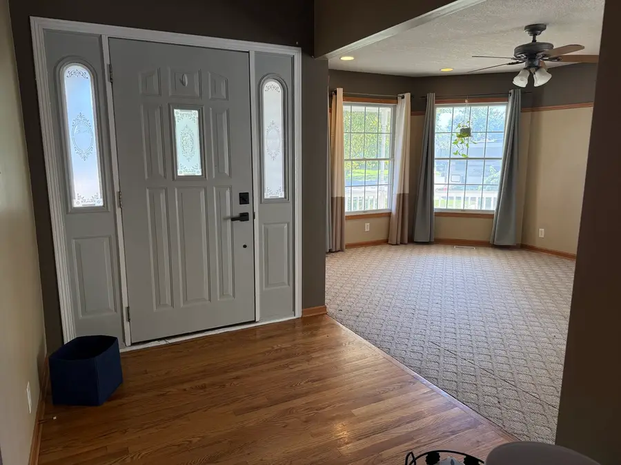 933 Brian Drive, Manteno, IL 60950 - #2