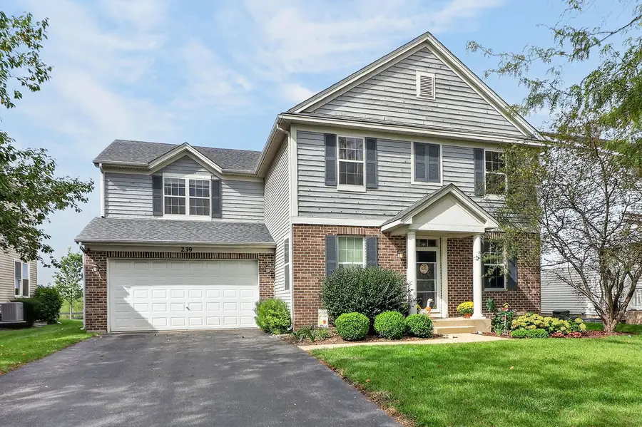 239 Bluegrass Parkway, Oswego, IL 60543 - #2