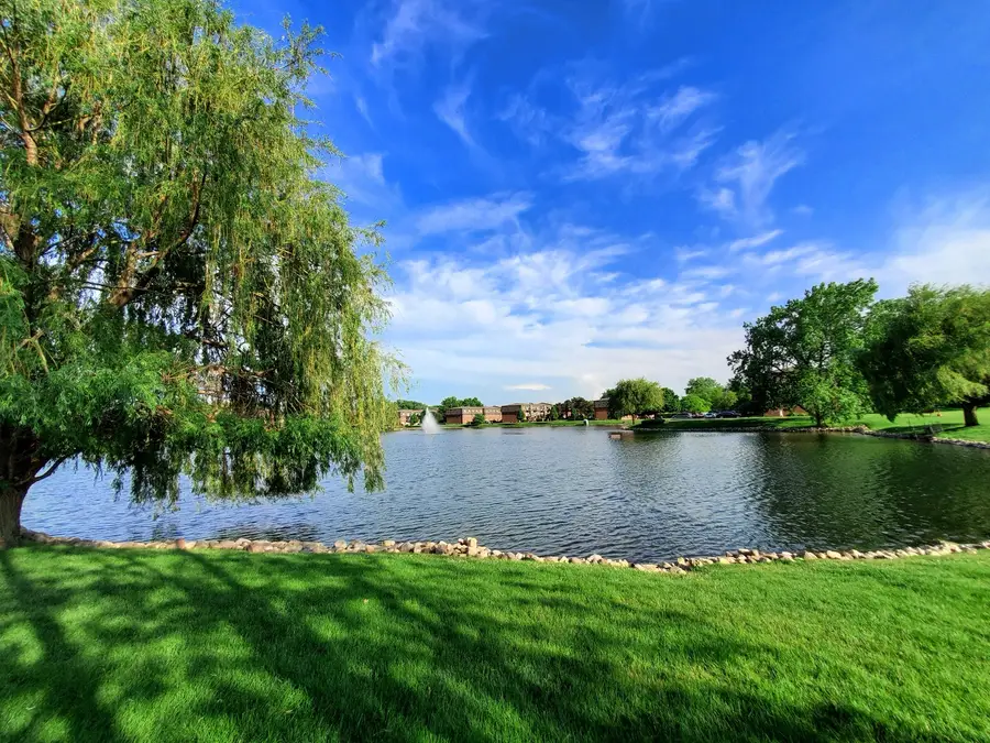 9374 Bay Colony Drive #2S, Des Plaines, IL 60016 - #3