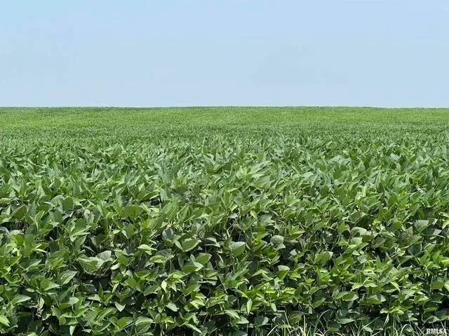 0 140th Avenue, Donahue, IA 52746 - #3