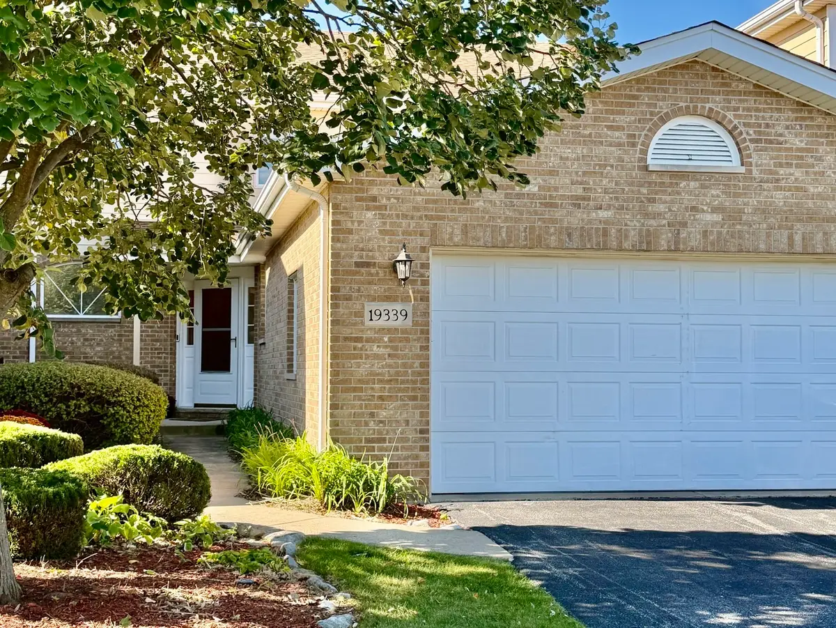 19339 Lisadell Drive, Tinley Park, IL 60487 - #1