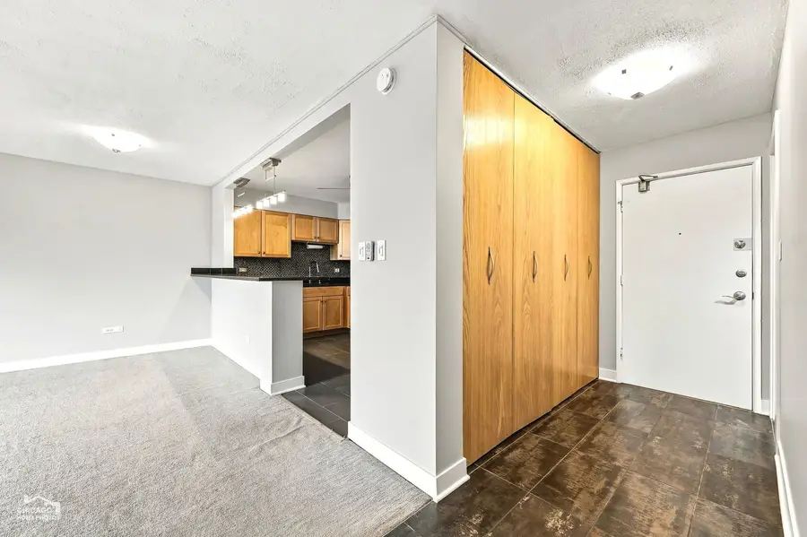 250 Ridge Avenue #4H, Evanston, IL 60202 - #2