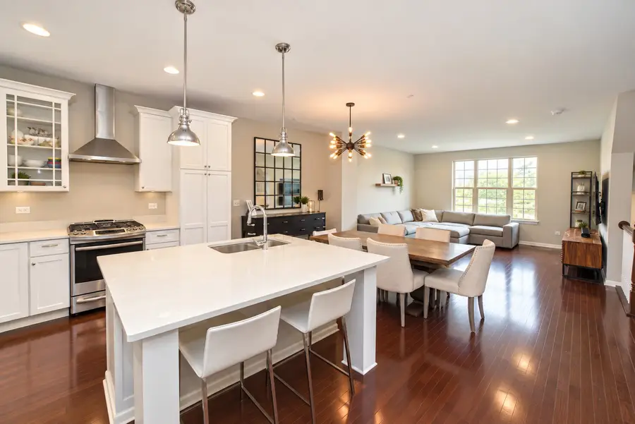 2009 Saipan Drive, Glenview, IL 60026 - #3