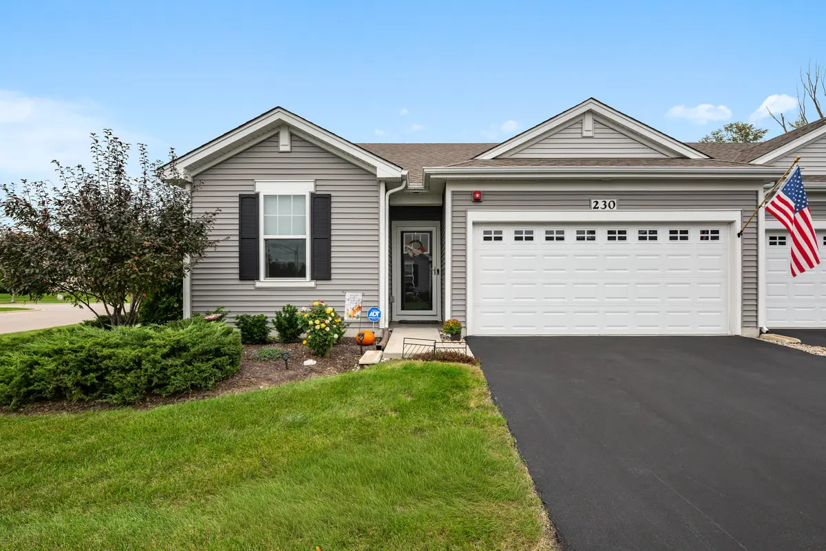 230 Sussex Court, North Aurora, IL 60542 - #1