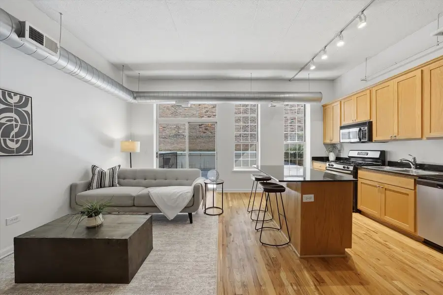 1919 S Michigan Avenue #208, Chicago, IL 60616 - #3