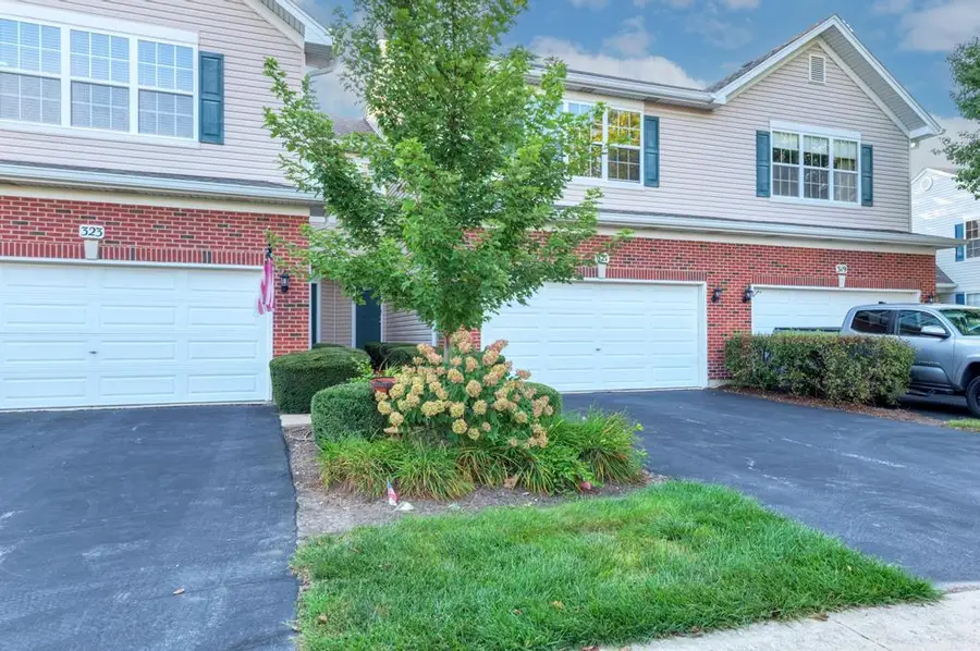 321 Grape Vine Trail, Oswego, IL 60543 - #2