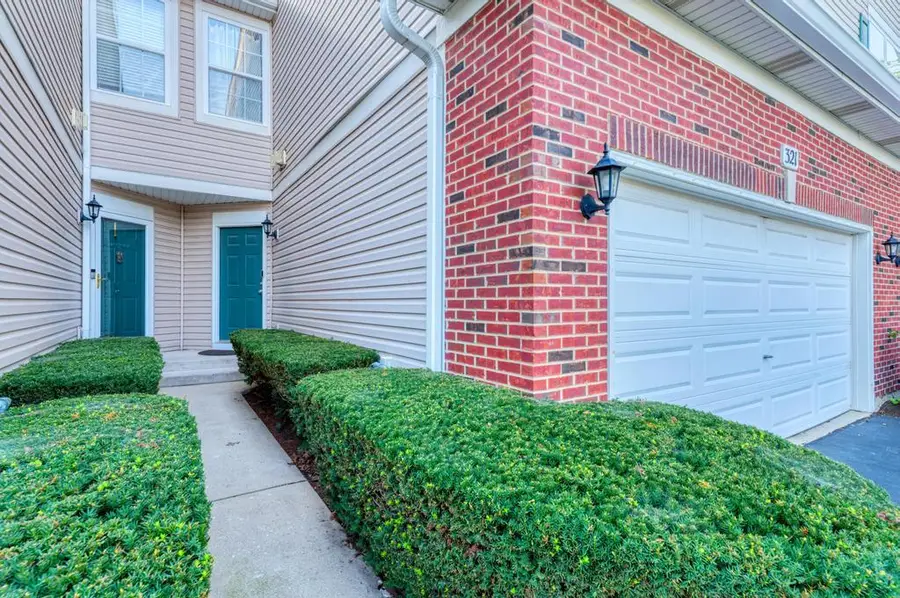 321 Grape Vine Trail, Oswego, IL 60543 - #3