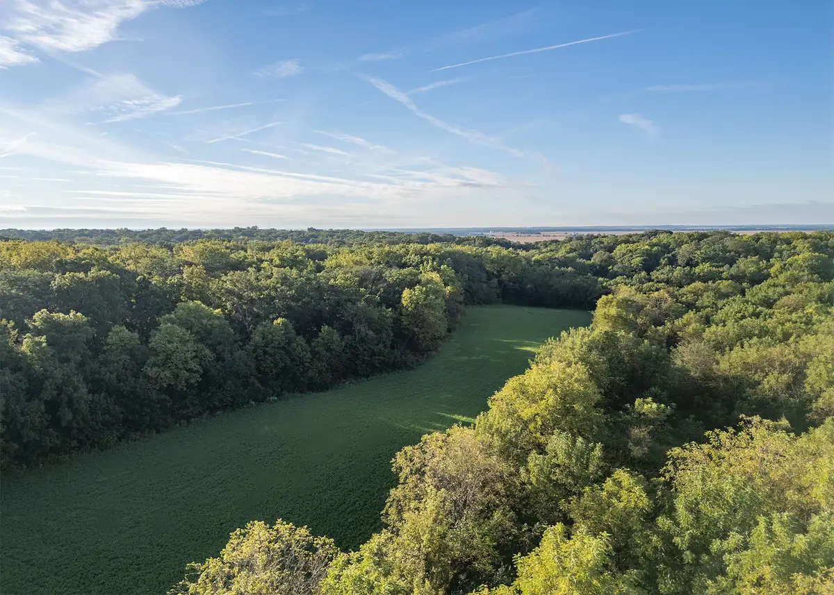 Lot 1 Mineral Road, Fenton, IL 61251 - #1